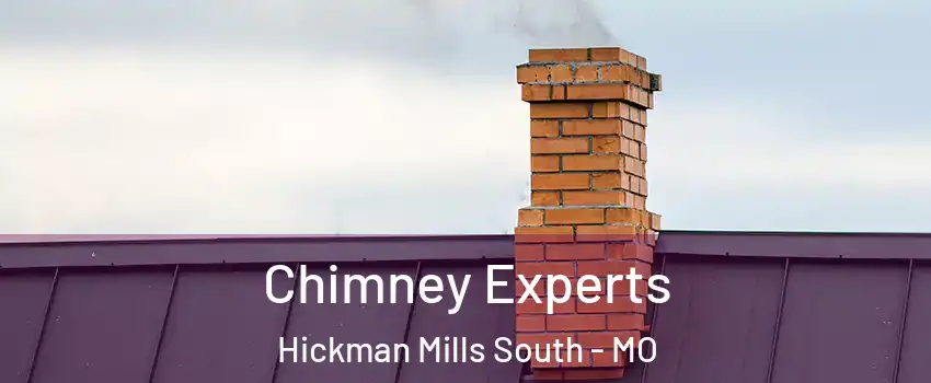 Chimney Experts Hickman Mills South - MO