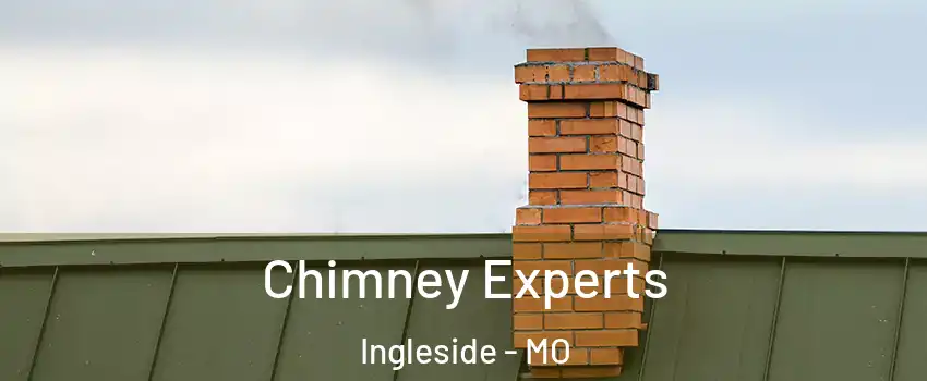 Chimney Experts Ingleside - MO