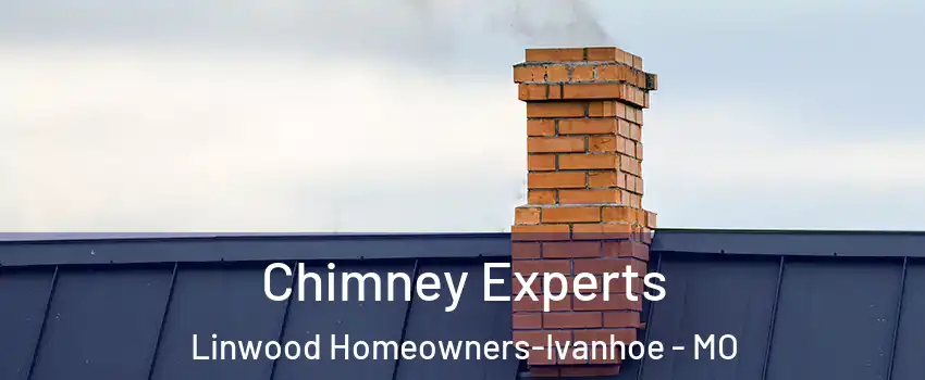 Chimney Experts Linwood Homeowners-Ivanhoe - MO