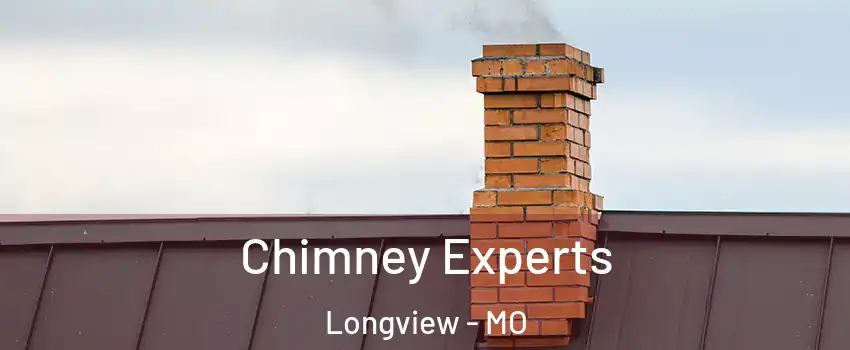 Chimney Experts Longview - MO