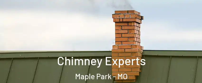 Chimney Experts Maple Park - MO
