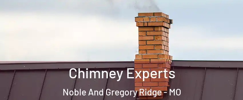 Chimney Experts Noble And Gregory Ridge - MO