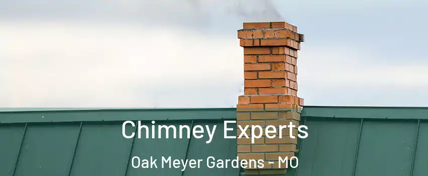 Chimney Experts Oak Meyer Gardens - MO