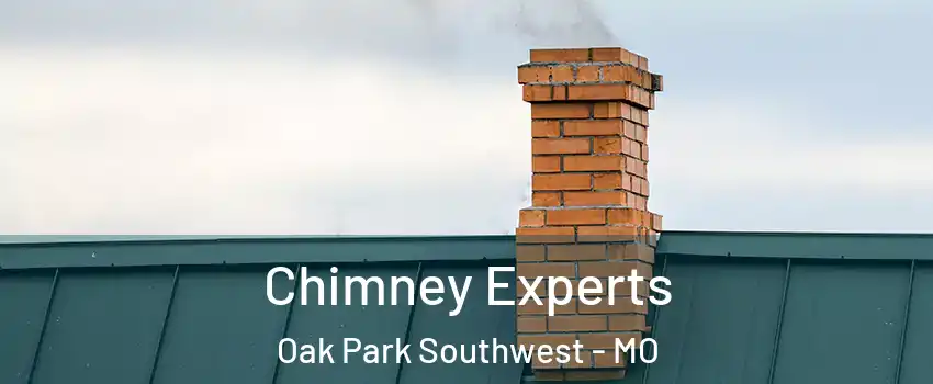 Chimney Experts Oak Park Southwest - MO