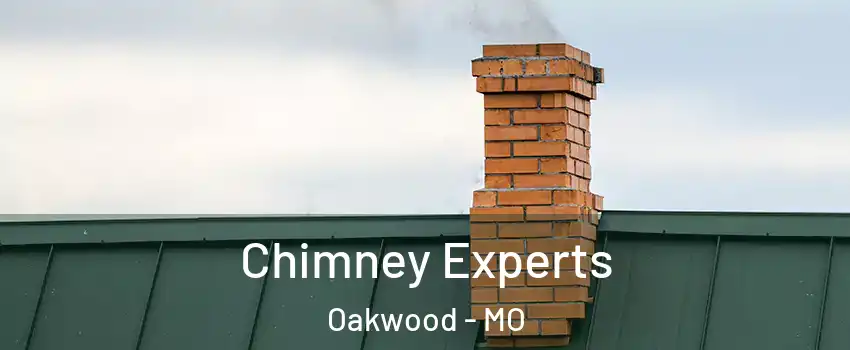 Chimney Experts Oakwood - MO