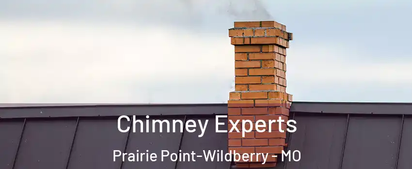 Chimney Experts Prairie Point-Wildberry - MO