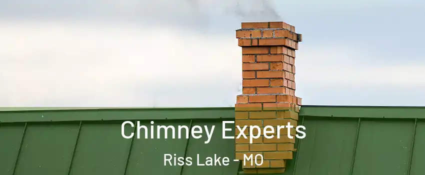 Chimney Experts Riss Lake - MO