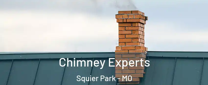 Chimney Experts Squier Park - MO