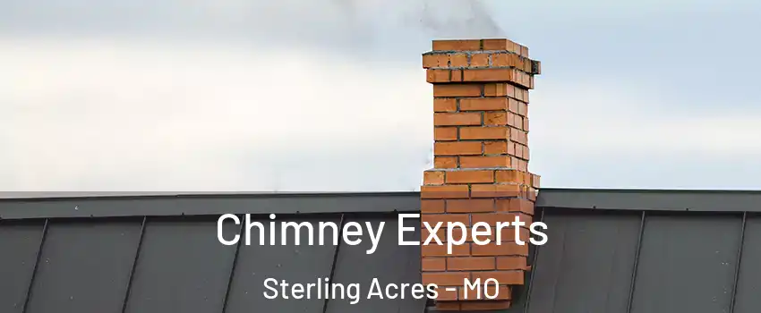 Chimney Experts Sterling Acres - MO
