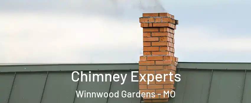 Chimney Experts Winnwood Gardens - MO