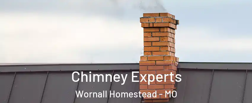 Chimney Experts Wornall Homestead - MO