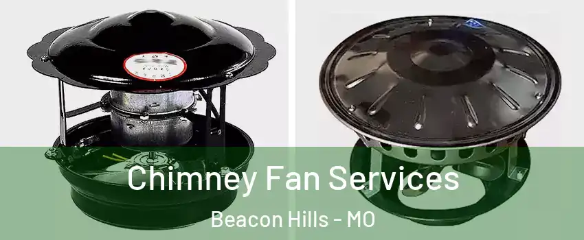 Chimney Fan Services Beacon Hills - MO