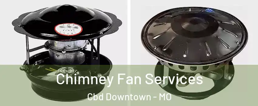 Chimney Fan Services Cbd Downtown - MO