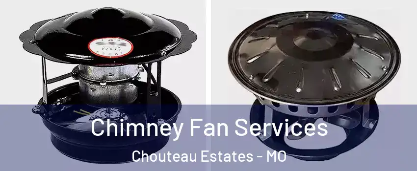 Chimney Fan Services Chouteau Estates - MO