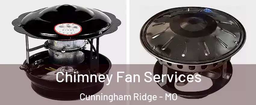 Chimney Fan Services Cunningham Ridge - MO