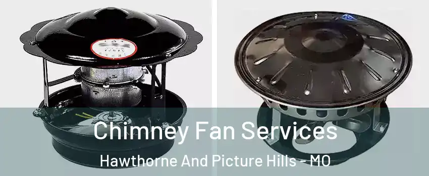 Chimney Fan Services Hawthorne And Picture Hills - MO