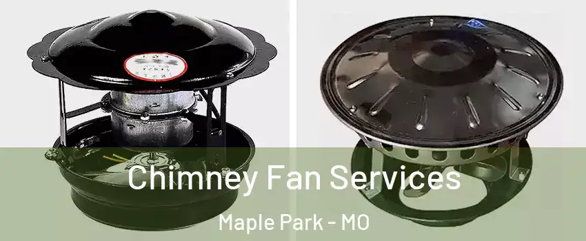Chimney Fan Services Maple Park - MO