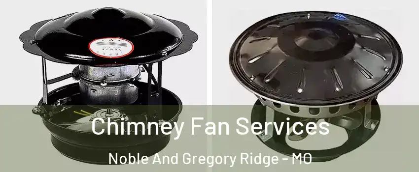 Chimney Fan Services Noble And Gregory Ridge - MO