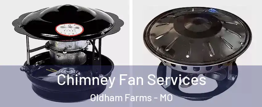 Chimney Fan Services Oldham Farms - MO
