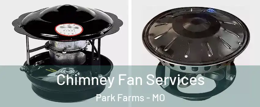 Chimney Fan Services Park Farms - MO