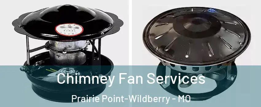 Chimney Fan Services Prairie Point-Wildberry - MO
