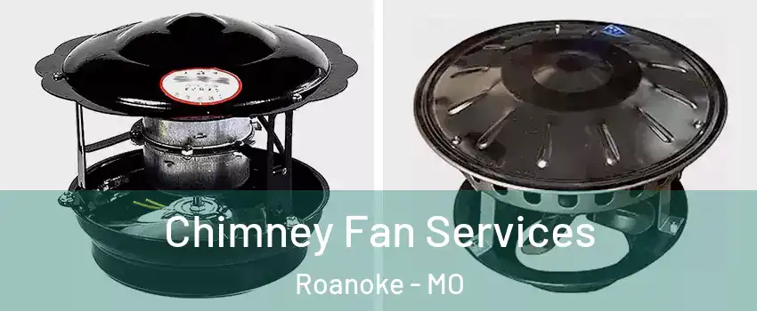 Chimney Fan Services Roanoke - MO