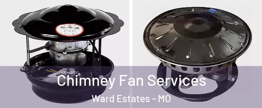 Chimney Fan Services Ward Estates - MO