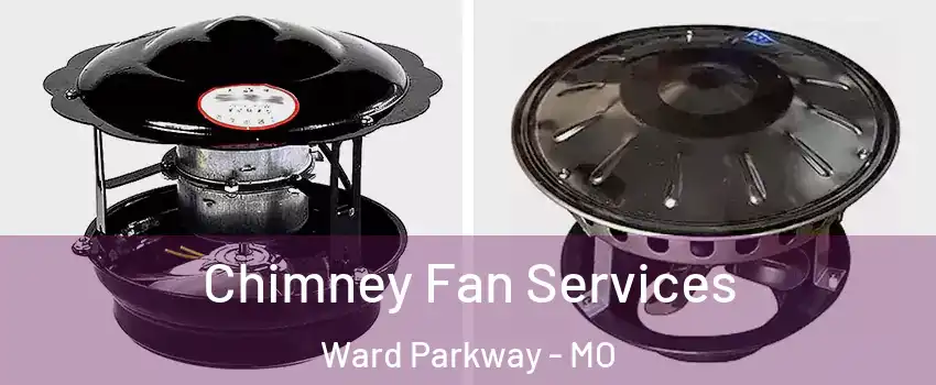Chimney Fan Services Ward Parkway - MO