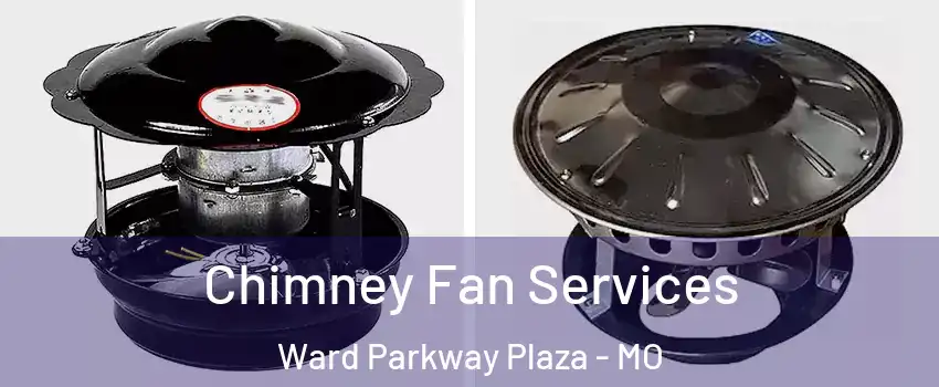 Chimney Fan Services Ward Parkway Plaza - MO