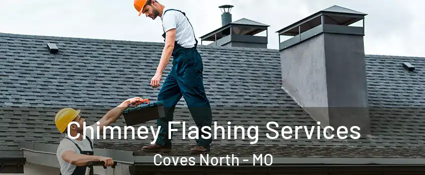 Chimney Flashing Services Coves North - MO