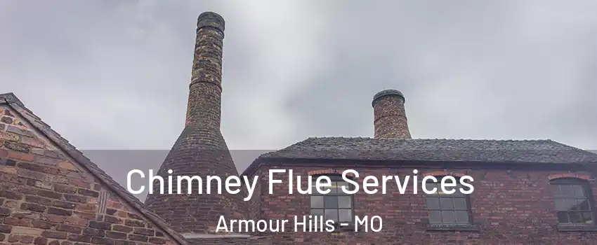 Chimney Flue Services Armour Hills - MO