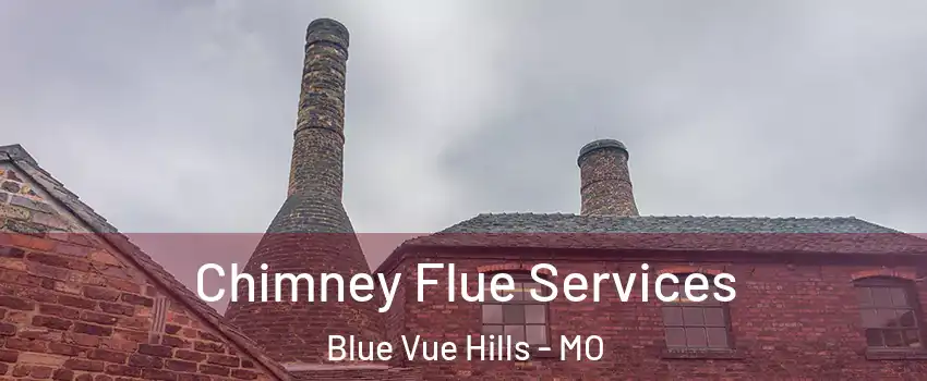 Chimney Flue Services Blue Vue Hills - MO