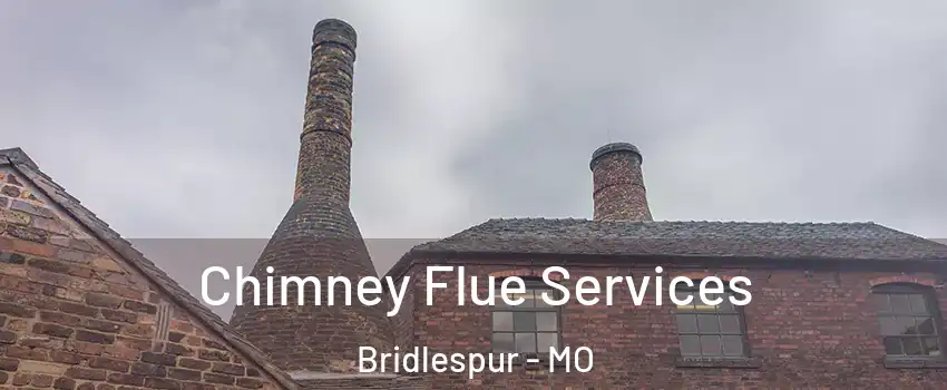 Chimney Flue Services Bridlespur - MO