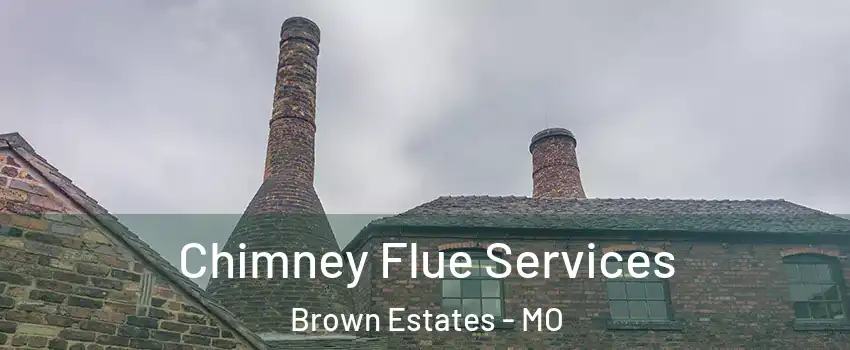 Chimney Flue Services Brown Estates - MO