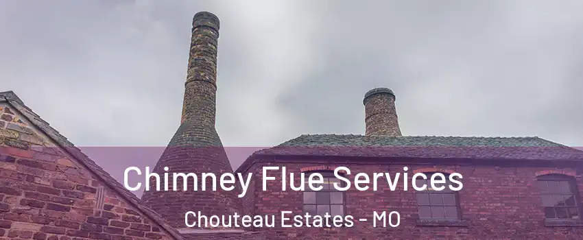 Chimney Flue Services Chouteau Estates - MO