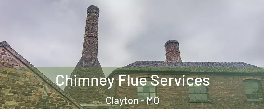 Chimney Flue Services Clayton - MO