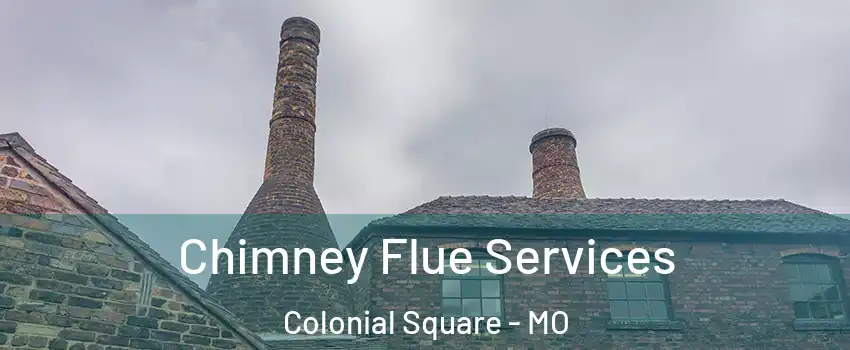 Chimney Flue Services Colonial Square - MO