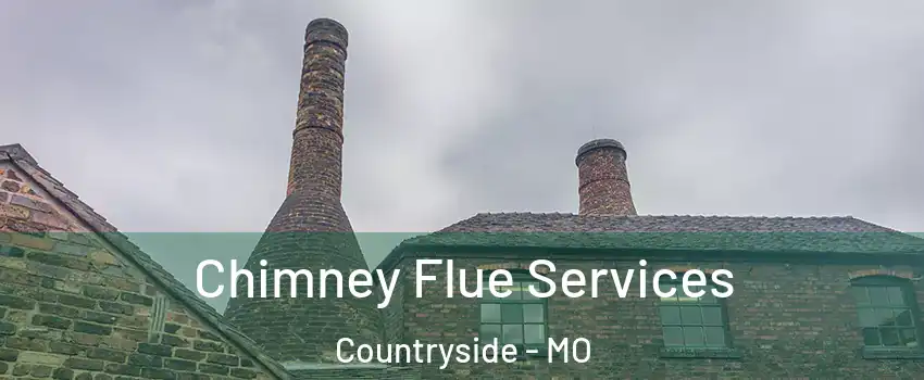 Chimney Flue Services Countryside - MO