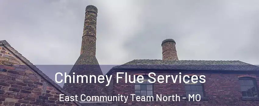 Chimney Flue Services East Community Team North - MO