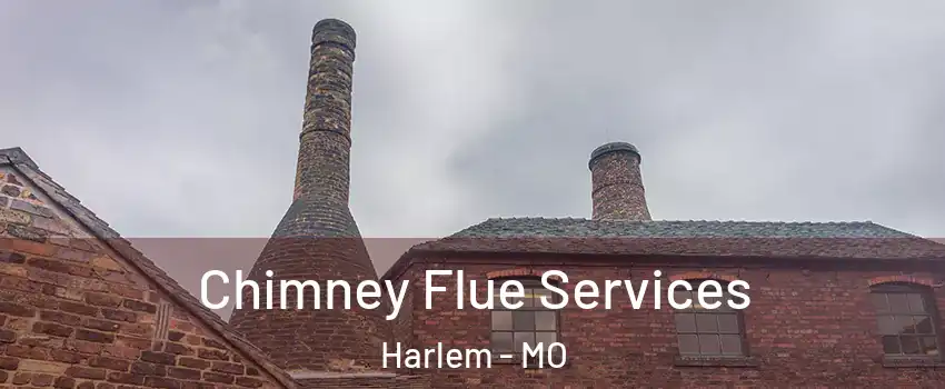 Chimney Flue Services Harlem - MO