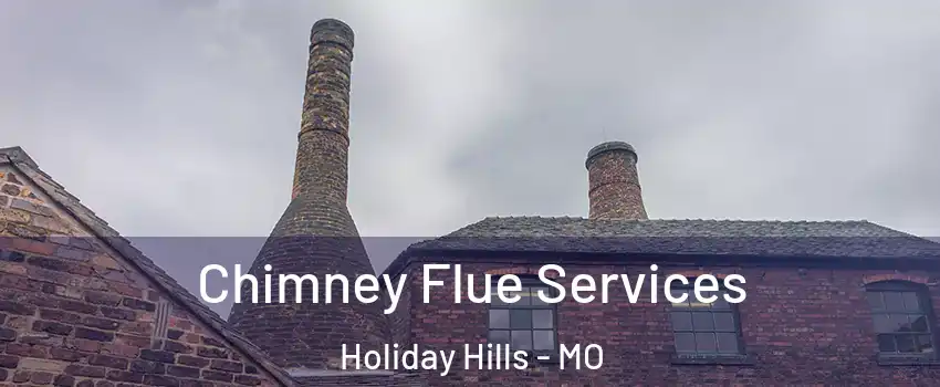 Chimney Flue Services Holiday Hills - MO