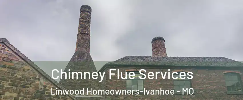 Chimney Flue Services Linwood Homeowners-Ivanhoe - MO
