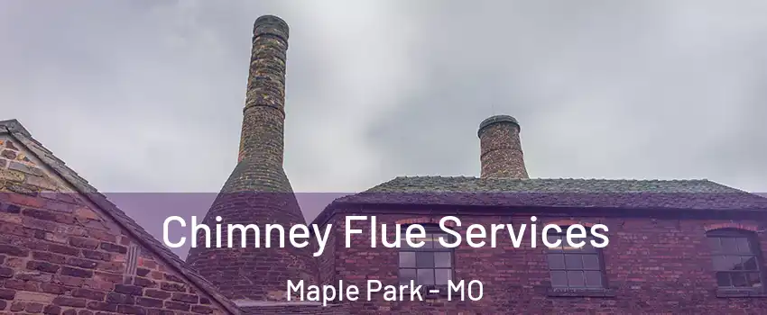 Chimney Flue Services Maple Park - MO