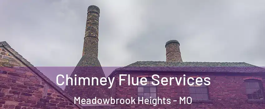 Chimney Flue Services Meadowbrook Heights - MO