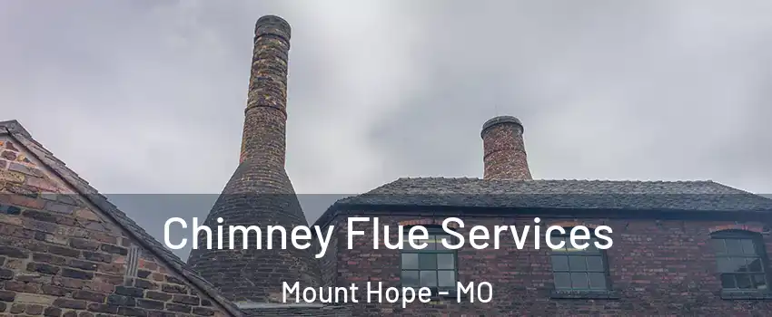 Chimney Flue Services Mount Hope - MO