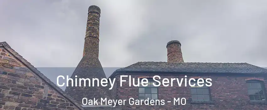 Chimney Flue Services Oak Meyer Gardens - MO