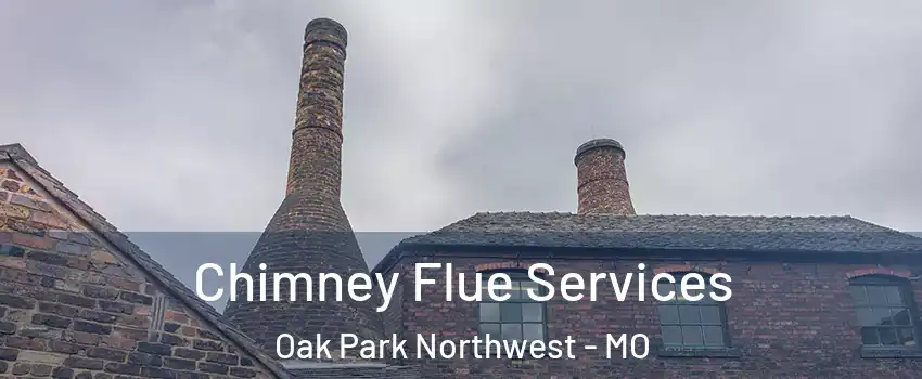 Chimney Flue Services Oak Park Northwest - MO