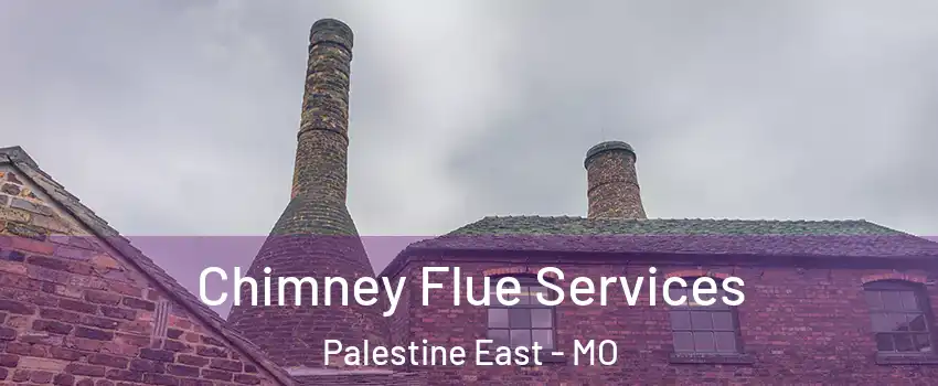 Chimney Flue Services Palestine East - MO