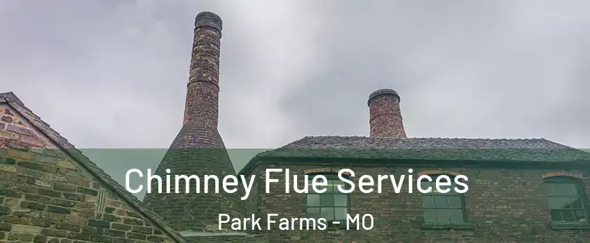 Chimney Flue Services Park Farms - MO