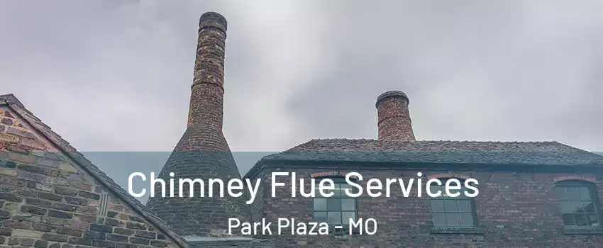 Chimney Flue Services Park Plaza - MO